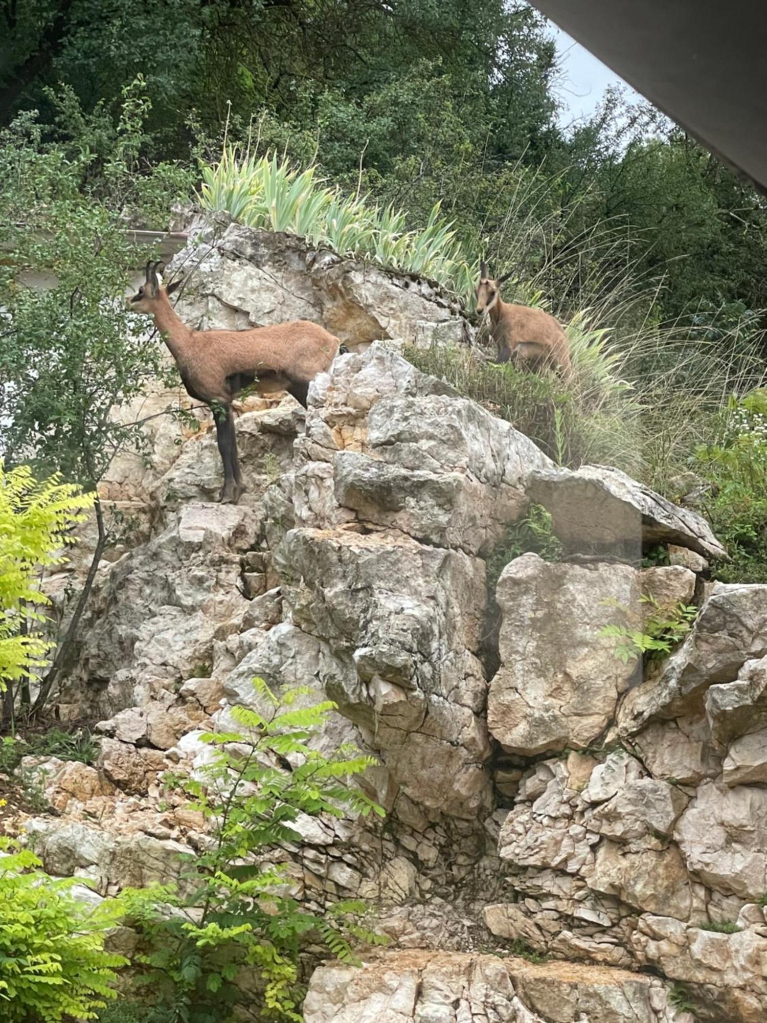 Maison Au Bord De L'Eau Les Roches Rochefort-sur-Nenon Extérieur photo