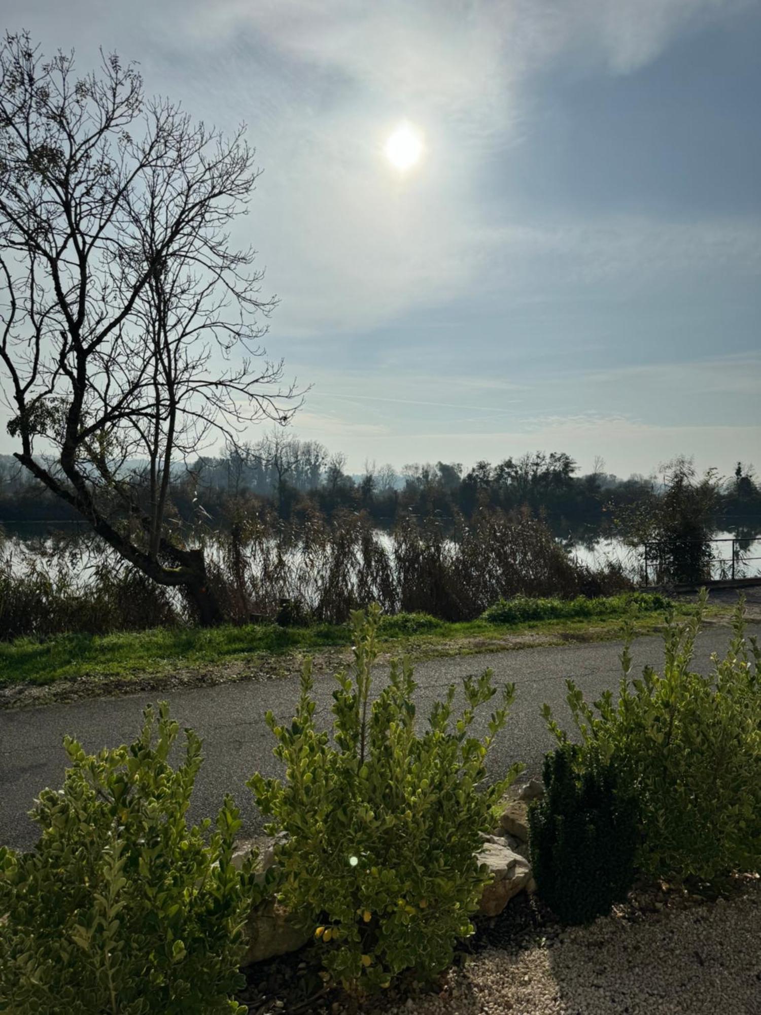 Maison Au Bord De L'Eau Les Roches Rochefort-sur-Nenon Extérieur photo
